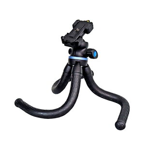 �l�C ������� ���� �C�x���g �Y�N�� ��� �N���X�}�X �v���[���g �y�Y �N�� ���� LPL ���j�o�[�T���E�H�[�L�[�|�b�hUWP-80S L18291 �֘A�F(�������� �ʔ� �O�b�Y ���i �֗� ���̓� ��̓� �N���X