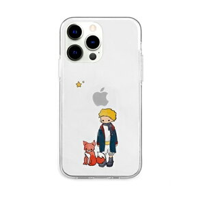 AKAN \tgNAP[X for iPhone 13 Pro gvXƃLcl AK21009i13P | iPhone ipad ֘AP P[X pro X}z 15 X}[gtH 16 ^ubh 14 air { pc mini p\R [d P[u یt
