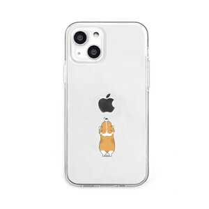 dparks \tgNAP[X for iPhone 13 Ck DS21169i13 | iPhone ipad ֘AP P[X pro X}z gѓdb Jo[ 15 X}[gtH 16 ^ubh 14 air { pc mini  10 9 p\R [d P[u