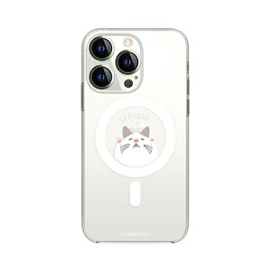 X}[gtH X}z OA@ fW^   @ p[c P[X X^h ANZT[ fW^֘A | abbi FRIENDS ^[`MagSafeΉNAP[X for iPhone 13 Pro Q ABF21751i13P
