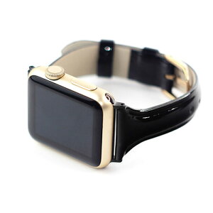 WEARPLANET Slim Line {v Gioh for Apple Watch 41/40/38mm fB[vubN WP23097AWBK | Apple ֘AP X}z ^ubg Mtg Pencil EIb` Y Abv watch 10 oh se 9 [d [d 