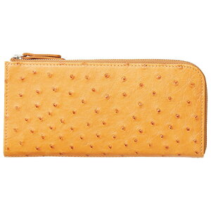 IXgb`Lt@Xi[z CG[ K21358825 | z K ֘AP 킢 2܂  v TCt ܂ j  K ܌ pXP[X [t   