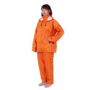 gL t@~lbg AWX^[ IW 5LTCY 1982-OR-5Lwj ii Ε  ~ q̓  { AE oYj