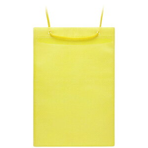 \jbN SONiC J[Cxg݉D nKLp 50  VN-8539-Y ֘AF( ʔ ObY i ֗ ̓ ̓ NX}X  v[g)