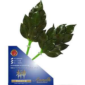 A&K v~A ~jS SKK-009 ֘AiACfBA  zr[   G j