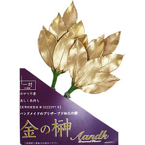 A&K ̍(~jS) GSK-003 ֘AiACfBA  zr[   G j