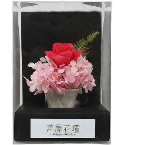 A&K ローズゴールドピンク AKM-035 関連(日常 生活 暮らし グッズ 商品 アイデア 時短 便利 父の日 母の日 クリスマス 結婚 プレゼント)御入学御祝 景品 お歳暮 初七日 お盆 子供の日 贈答 供