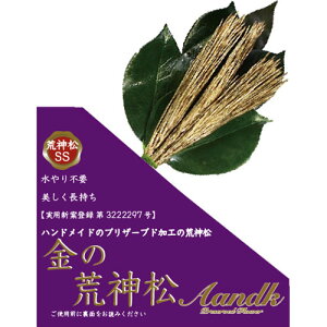 A&K ̍r_SS(̏) GKJ-004 ֘AiACfBA  zr[   G j