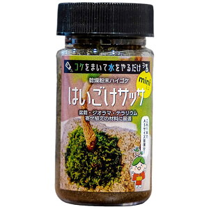 y5Zbgz rbNA[ nCSP ͂TbTmini bigarrow-haigokeminiX5 ֘Ai ʔ ObY i ֗ ̓ ̓ NX}X  v[gj