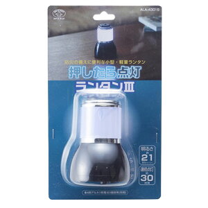 X}CLbY _^III ALA-4301S ֘AiIV   CeAjVzj 䌩 Fl ̈̓ O Ε i @  Ԍ