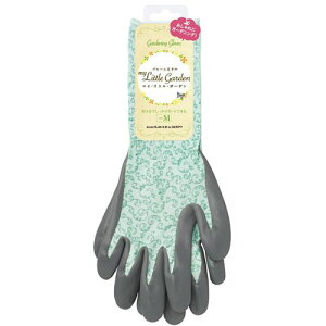 _bvz[v_Nc }CgK[f O^Cv w MTCY ނ 6622 ֘Aiqpij