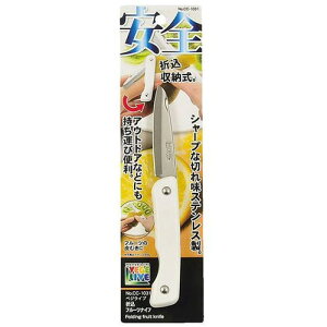 p[ xWCu ܍t[ciCt CC-1031 Wi ي H  Lb`pij