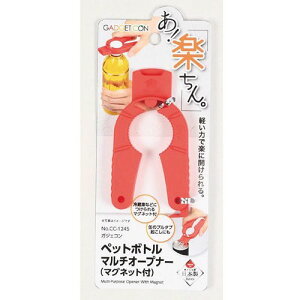 p[ KWFR ybg{g}`I[vi[ }Olbgt CC-1245 ֘AiLb`ACfBA  zr[   G j