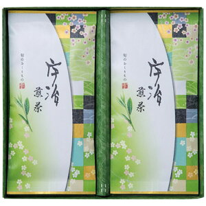 Fl IC-20 70g×2 9227-011 Hi ώ l Zbg Mtg | ֘AP ̓ ̓ w l j hV oGeB[ ʋl   z oGeB Zbg   