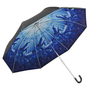 bZ܂肽ݎP Jp ̎[ܕt htBVtHj[ K50414718 | LE{[h I bN [ ֘AP   ACfAi  ACfBA IV ֗ ACfB