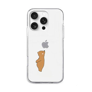 AKAN GCJ \tgNAP[X for iPhone 16 Pro S̍\ xA AK27036i16PR PC p\R X}z ^ubg | ֘AP j^[ A[ t ی }EX ssd fBXN hdd [^[ A_