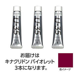 ターナー色彩 U35 キナクリドンバイオレット20ml 3個 TURNER108660 文具 備品| 関連単語 水彩 色 クレヨン 筆 ペンケリー えんぴつ オフィス 事務 用品 学用品 筆記 名刺 手帳 カッター テープフ ァ