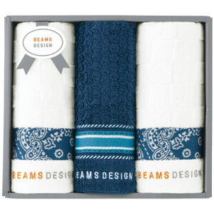 BEAMS DESIGN `FbJ[o_i tFCX^I3P lCr[u[ 34×70cm C6050585 N e  | ֘AP WF [[ XgAbv X`[}[  Gv C ֎q Xbp pW} 