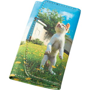 L ]̗L L[P[X 6×2×10cm C6042559  i| ֘AP Jb^[ e[vt @C  ͂ rWlXM y G Zbg V[vy G̋ X}bV IY lG