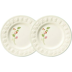 EFbWEbh tFXeBreB Yx[ v[g21cm yA 21×2.3cm C6008538 H Rbv ^u[ r[ OX Xv[ tH[N M ǂԂ Jbv {g  }O v[g  