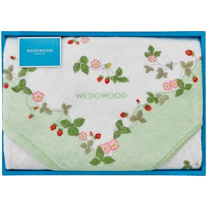 EFbWEbh ChXgx[ oX^I O[ 60×120cm C6049609 N e  | ֘AP Gv C ֎q Xbp pW}  ^ RX N[ nuV q l 