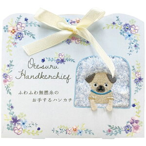 肷nJ`() pO 23×23cm C6022575hV̓ AE ߕ  l̓ j oYj 䒆 TԂ 