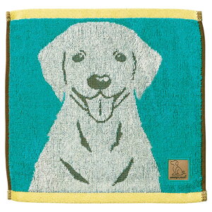 _ts[X uACY uh[Ego[ L[^I 22549605 X|[c AEghA@O O BBQ | ֘AP  ACfAi LbY C V [Y Y j fB