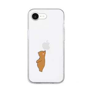 AKAN \tgNAP[X for iPhone 16e@S̍\@xA AK27566i16E PC p\R X}z ^ubg | ֘AP ssd fBXN hdd [^[ A_v^ tbV LAN  L P[u f