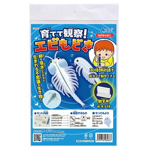  NX}X v[g lC 蕨 ~ Mtg  yY N  T^ lC   ~ Ε Mtg NX}X v[g y5Zbgz ARTEC ĂĊώ@!Gr