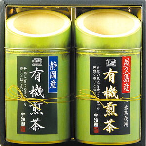 F YnIL@Mtg yÉYL@EvYL@/e90gz FUJI-030141032 Mtg Ε  j  | ֘AP j l AE  oY o 