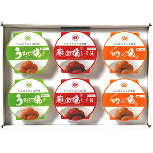 Mtg  ̂ Mtg v[g i LOi  _ ~6_Zbg 50g×6 y~/50g×6A\[g(5%E7%E12%e2)z FUJI-530864711 Hi ώ l Zbg Mtg | 