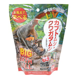 y1P[X(12)z mR[|[V oX{[ A^Cv̓ w̐}ӃCu JugVENK^ BIG GKN0801X12 C gC 䏊 Lb` | ֘AP gCtH[ 