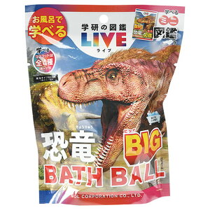 y1P[X(12)z mR[|[V oX{[ A^Cv̓ w̐}ӃCu BIG GKN1201X12 C gC 䏊 Lb` | ֘AP gCtH[ |ObY o