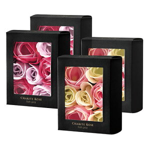 y4Zbgz mR[|[V Ve[Y oXy^ (OX[Y×2EGKX[Y×2) OBDRP0301+OBDRP0302 C gC 䏊 Lb` | ֘AP rJo[ hJr 