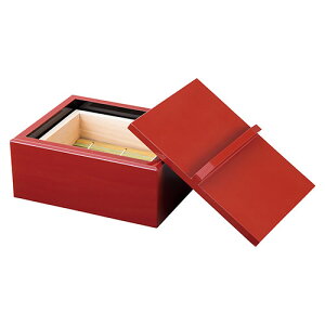 ヤマコー 用美 業務用 朱塗・蒸しセイロセット yamaco20190 食器 | 関連単語 耐熱 セット 洋食器 木製 茶碗 大皿 食洗機対応 おしゃれ 小鉢 白 割れにくい カップ パーティー プレート ミニプレー