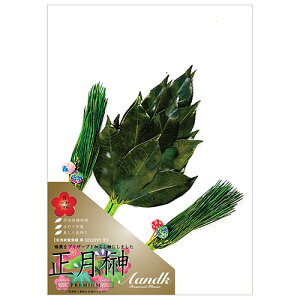 A&K t STCY (2{g) _Iɏɏ邱Ƃłj͋̕C SKK-014S   | ֘AP i Mtg Mtg @vԂ J^OMtg 