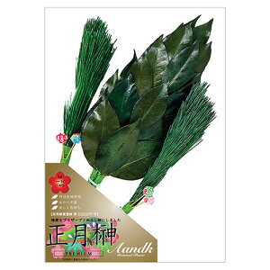 A&K t MTCY (2{g) _Iɏɏ邱Ƃłj͋̕C SKK-015M   | ֘AP i Mtg Mtg @vԂ J^OMtg 