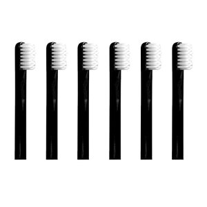 lC ~ Ε Mtg NX}X v[g V_H adelie ւuV N(6) OCt&GRth[uV ̂Ő ADELIE-25889