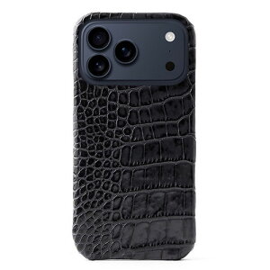 ABBI SIGNATURE LIPARI イタリアンレザー MagSafe対応バックカバー for iPhone 17 Pro Max ブラック ABS27775i17PM