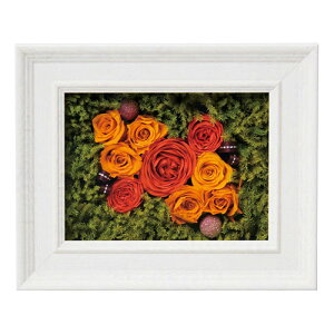 lC   ~ Ε Mtg NX}X v[g vUt[ vU[uht[gt[ K60609726