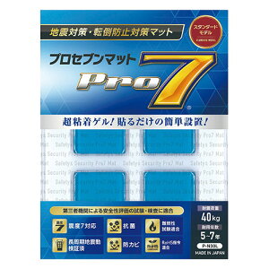 �v���Z�u�� �ϐk�}�b�g �X�^���_�[�h 30mm�p �k�x7�N���X�̒n�k���炠�Ȃ��̖������ �u���[ P-N30L �q�� ����� | �q���p�w�����b�g �q���p�}�X�N �c���H ���ނ� �M���r �G�{ �q���p���C�g ��