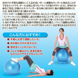 ボールエクサボール運動バランスボールバランス運動