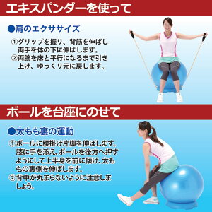 ボールエクサボール運動バランスボールバランス運動