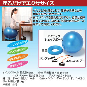 ボールエクサボール運動バランスボールバランス運動