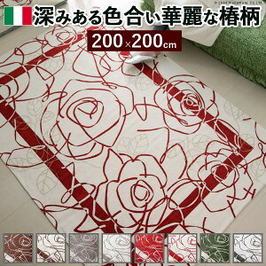  i Ƌ fUCi[ fG X^CbVi ֗ C^ASuDO CameliakJAl200×200cm ֘AiߑObYipilCȒPKj[NG