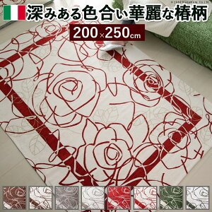  i Ƌ fUCi[ fG X^CbVi ֗ C^ASuDO CameliakJAl200×250cm ֘AiߑObYipilCȒPKj[NG