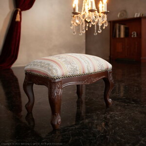 C^A Ƌ [sA F[iNVbN tbgXc[ Lr ֎q [bpƋ NVbN AƋ AeB[N C^A   GKg [g e