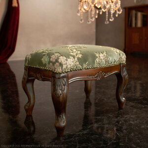 C^A Ƌ [sA F[iNVbN tbgXc[-؎R Lr ֎q [bpƋ NVbN AƋ AeB[N C^A uE   GKg