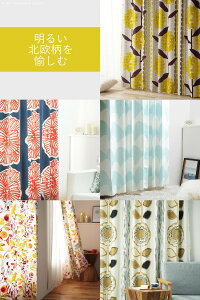 Ƌ CeA l炵 t@~[ Ƒ Ƌ mfBbNJ[e 150cm 135`260cm h[vJ[e Ռ 2 3 `LH k ې { 10 33100777 J[E: