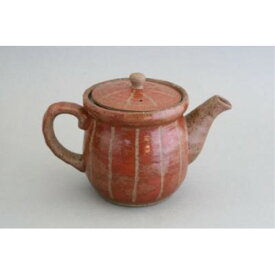 湯呑み ガラス おしゃれ 和風 線彫 ポット急須 金網茶こし付（赤）410ml 瀬戸焼